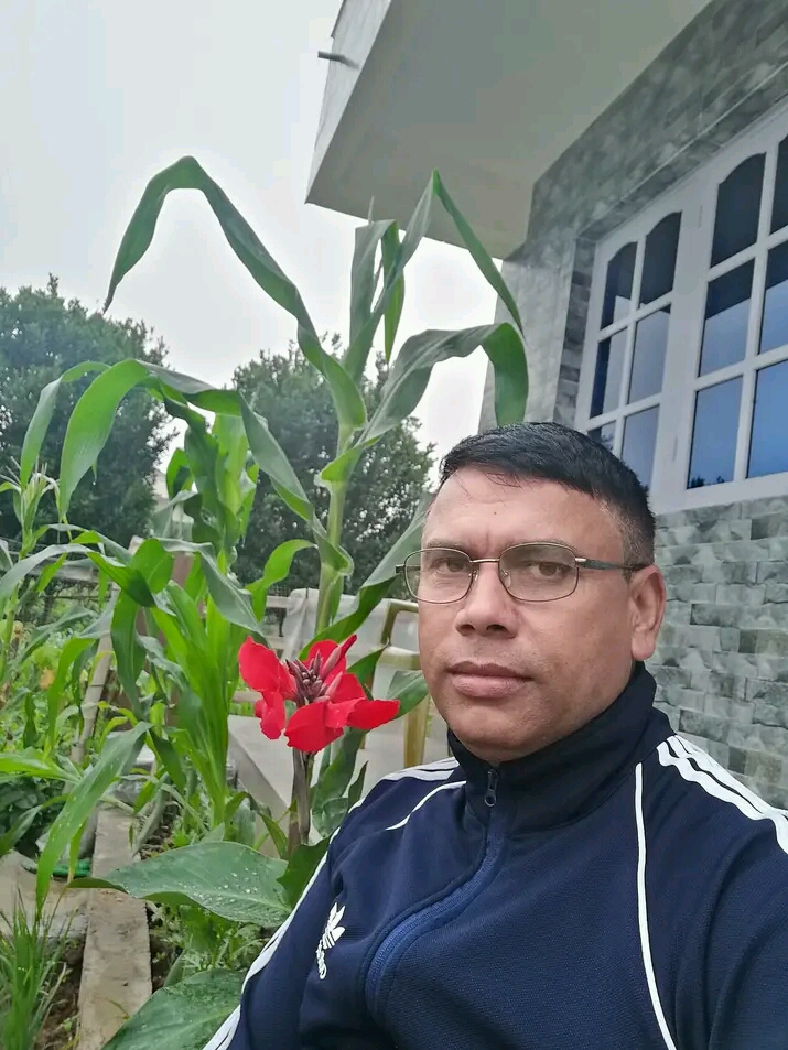 राजनीति, जनजिविका र सरकार