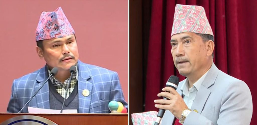 राष्ट्रिय सभामा कांग्रेसले गर्यो फेरबदल: पदमबहादुर सचेतक, नेतामा कमला पन्त